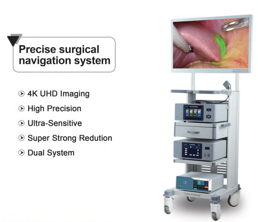 Endoscopy Camera System