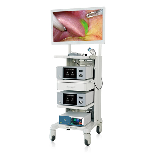 Endoscopy Camera System