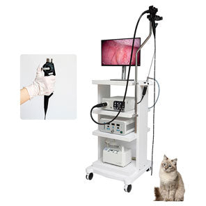 Endoscopy Camera System